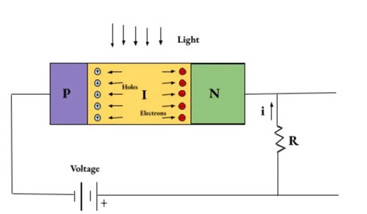 PIN光電二極管